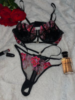 Pink Roses Bra and Panty Set